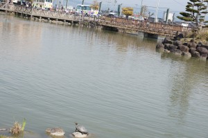 DSC03730