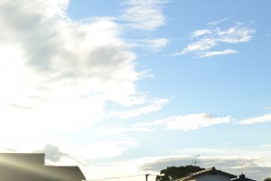 DSC_0004