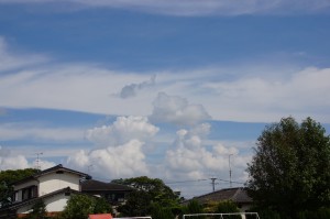 DSC07648