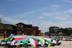 DSC07785