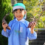 DSC01753 (1)