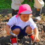 DSC01887 (1)