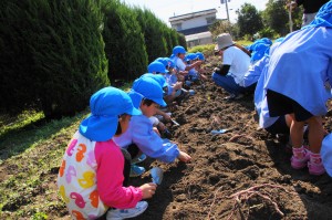 DSC02013 (1)
