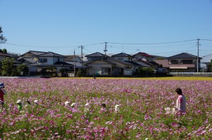 DSC08433