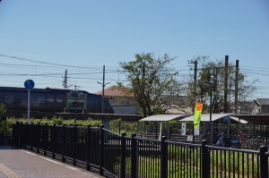 DSC08439