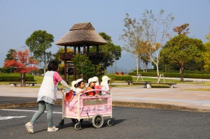 DSC09841 (1)