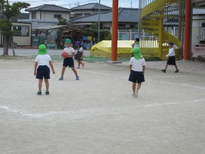 IMG_7951