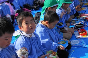 DSC02372 (1)