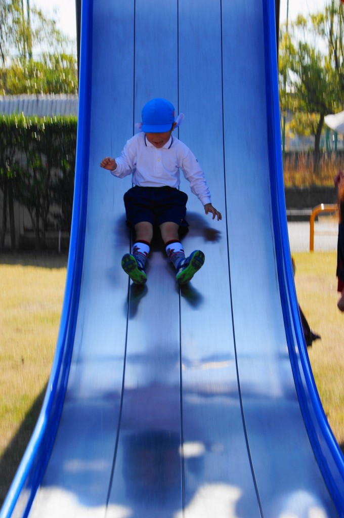 DSC03224 (1)