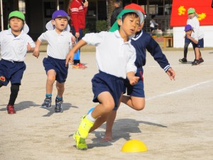 DSC06279 (1)