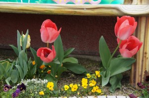 DSC00320
