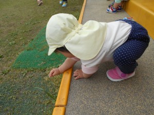 DSCN1447