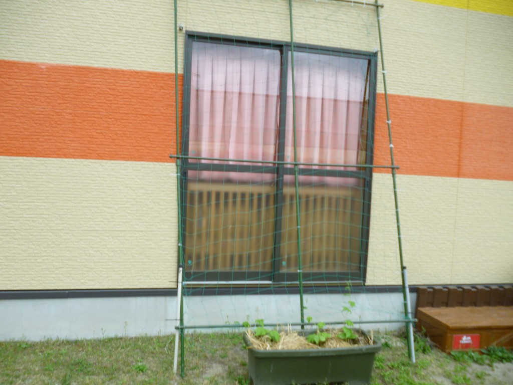 P1020999