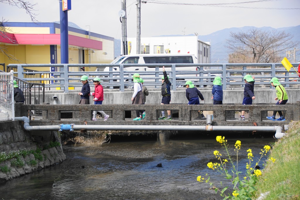 DSC07164 (1)