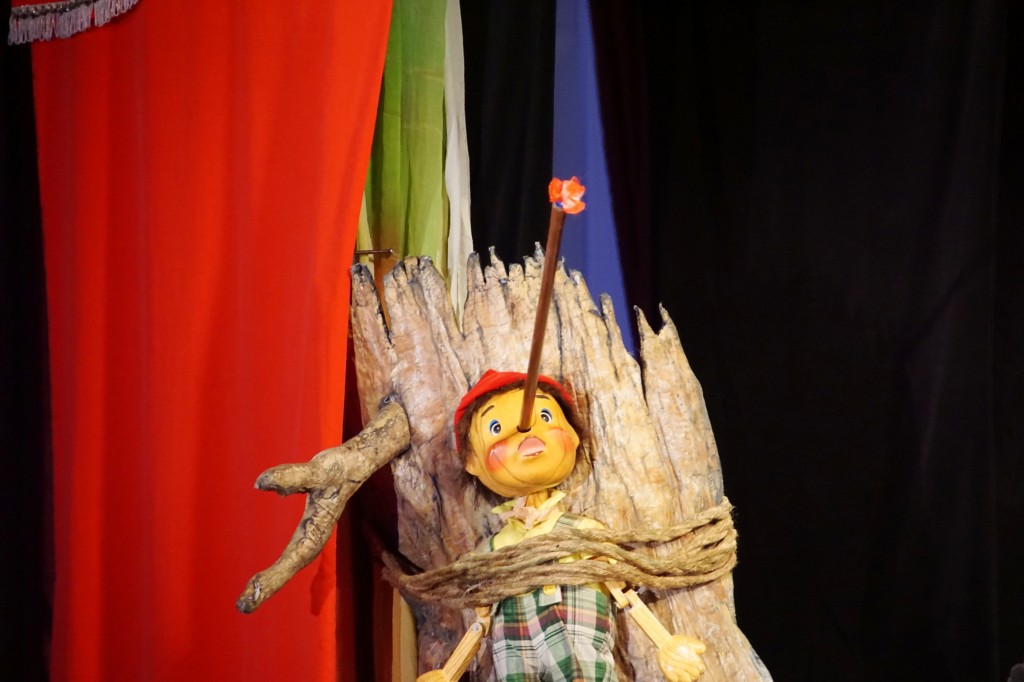 DSC07609 (1)