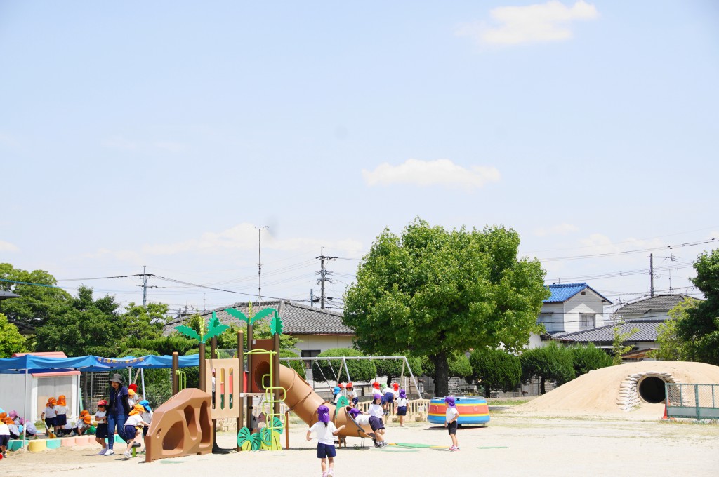 DSC07358 (1)