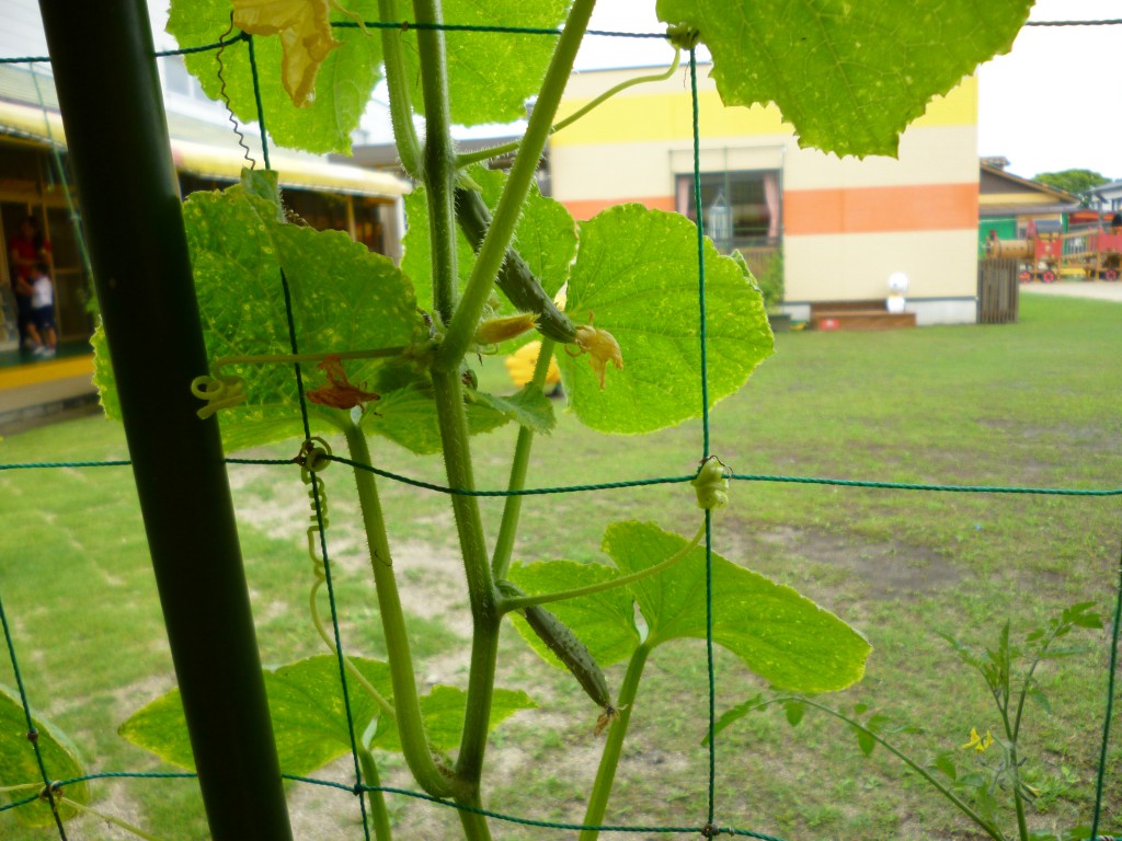 P1040926