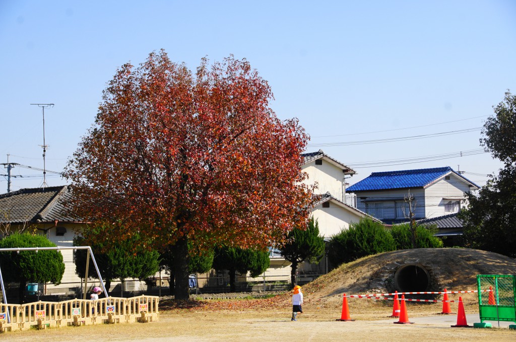 DSC01517 (1)