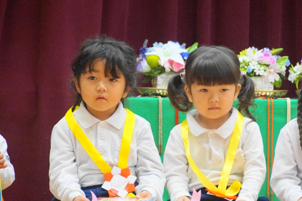 DSC02342 (1)
