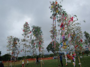 IMG_0386