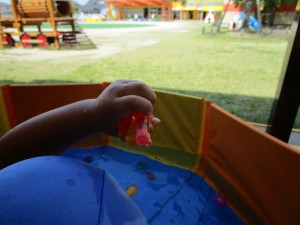 IMG_0435